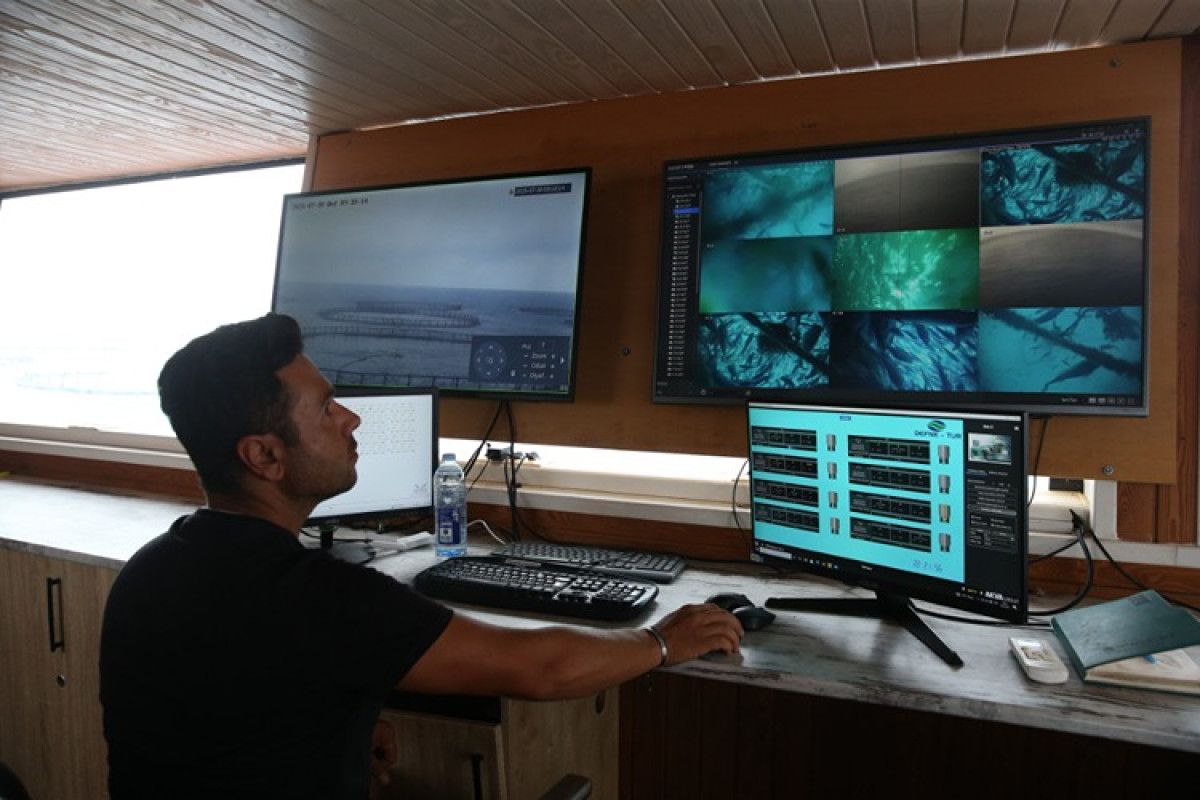 hataydan avrupaya balik ihracati 0