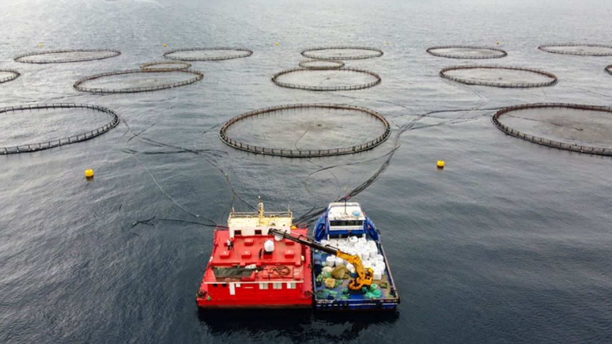 hataydan avrupaya balik ihracati 1 X2NJTTNY