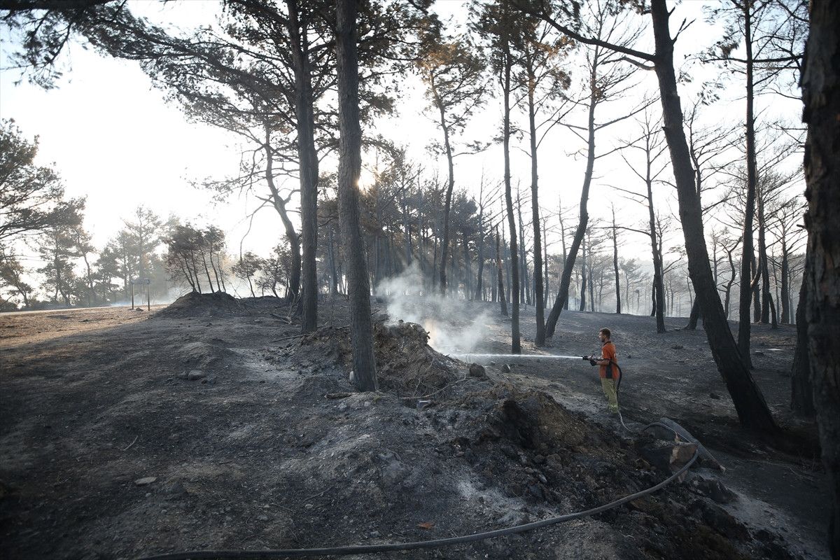 ibrahim yumakli canakkaledeki yanginlar buyuk oranda kontrol altina alinmistir 2 URtjDZf9