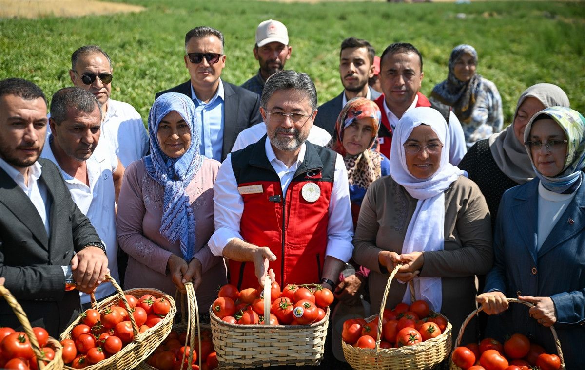 ibrahim yumakli hasada katildi ureticilerle domates topladi 1 v6iZpG3e