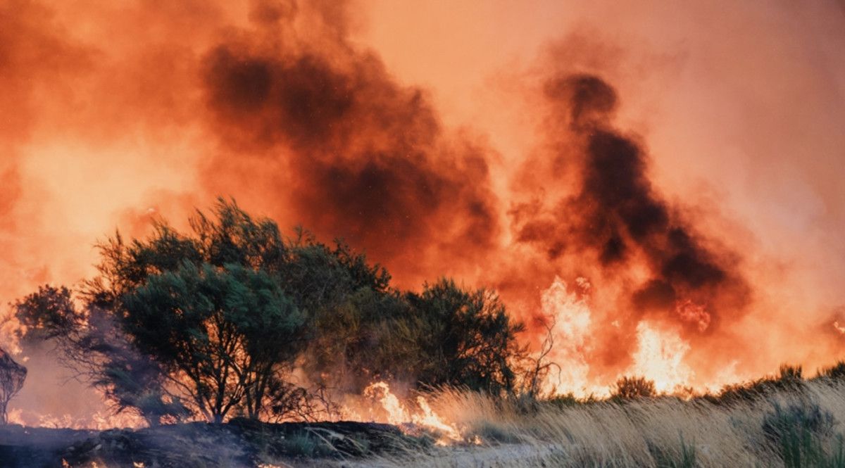 iklim degisikligi turkiyede orman yanginlarina yol acan hava kosullarini siddetlendirdi 2 TaK8fnA3
