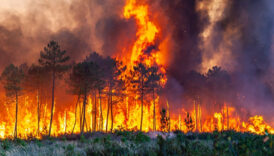 iklim degisikligi turkiyede orman yanginlarina yol acan hava kosullarini siddetlendirdi TXIDMZL2