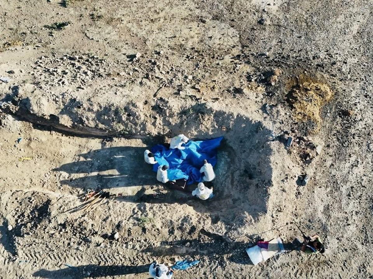 irakta deastan kalma toplu mezar kazilmaya baslandi 3 VXFKVjbn