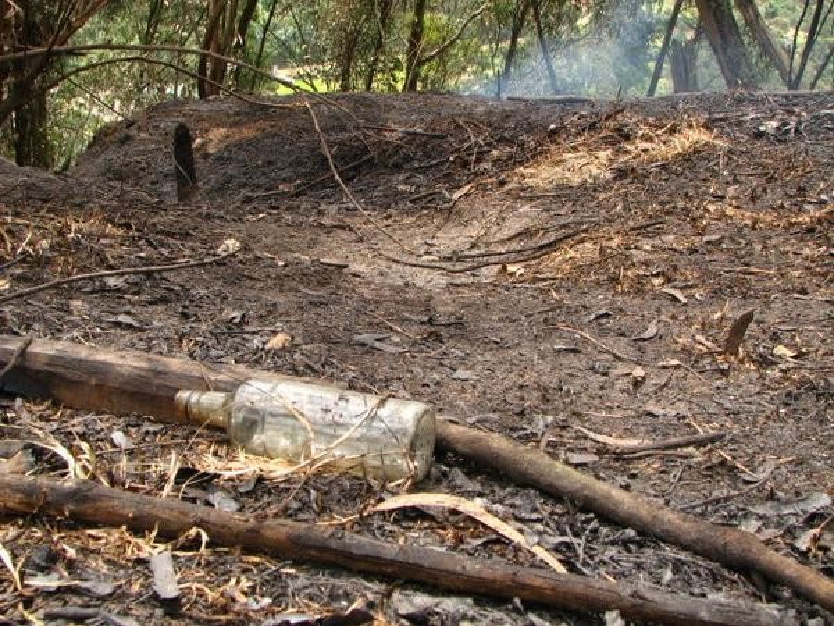 ispanya 14 farkli noktada orman yangini 7 olu 0