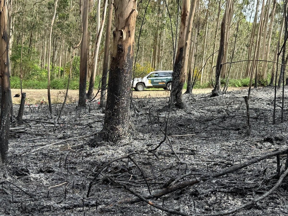 ispanya 14 farkli noktada orman yangini 7 olu 3