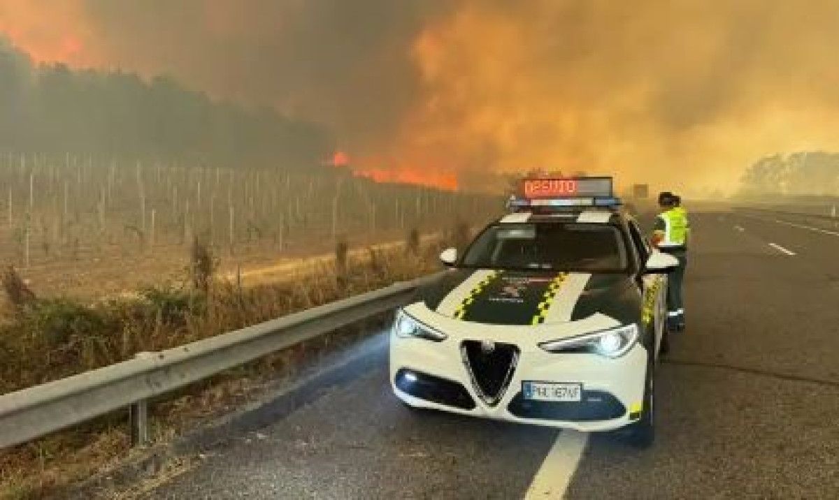 ispanya 14 farkli noktada orman yangini 7 olu 4 sqvimlBV