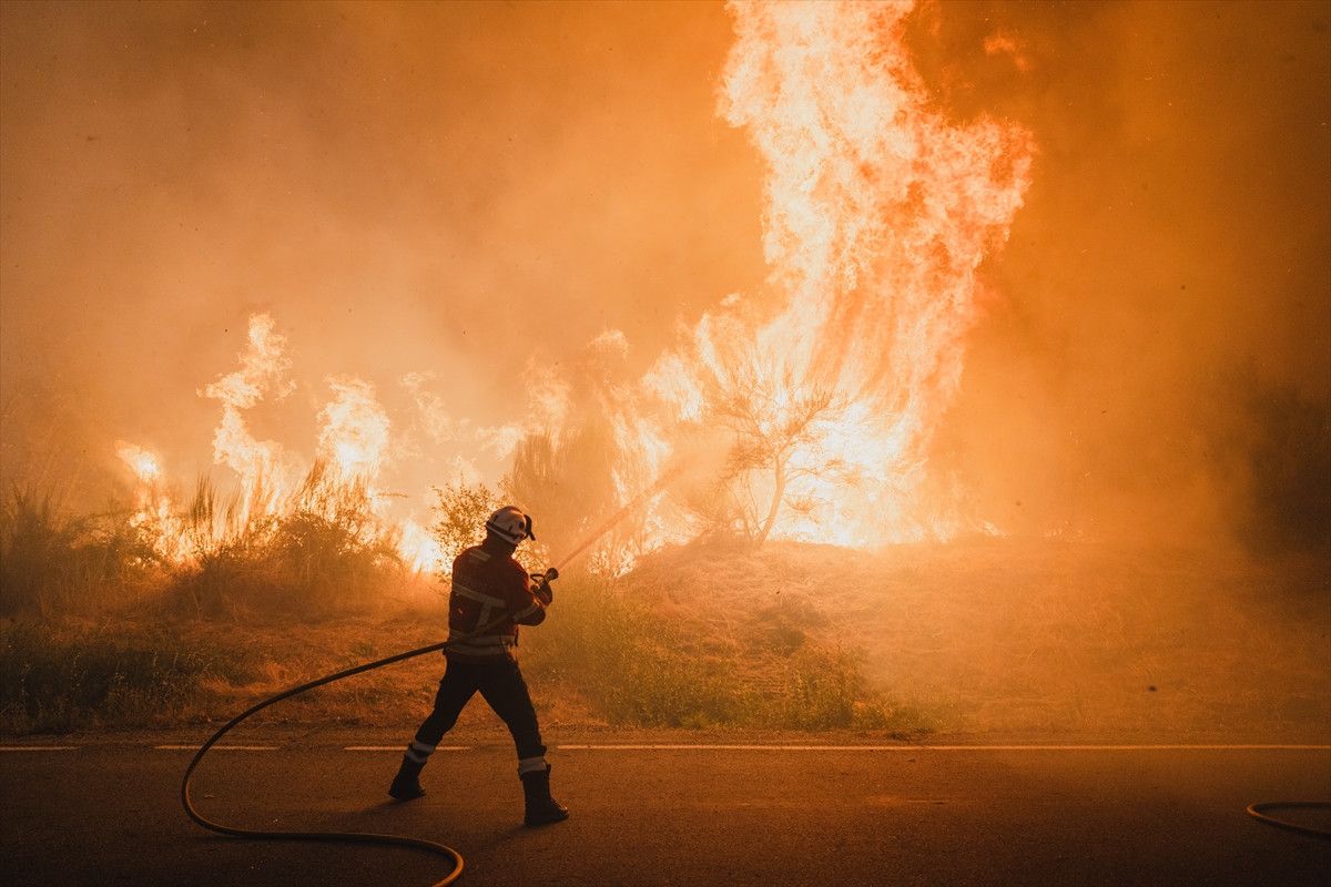 ispanyada 344 bin hektardan fazla alan yandi 0 QWOgngsS