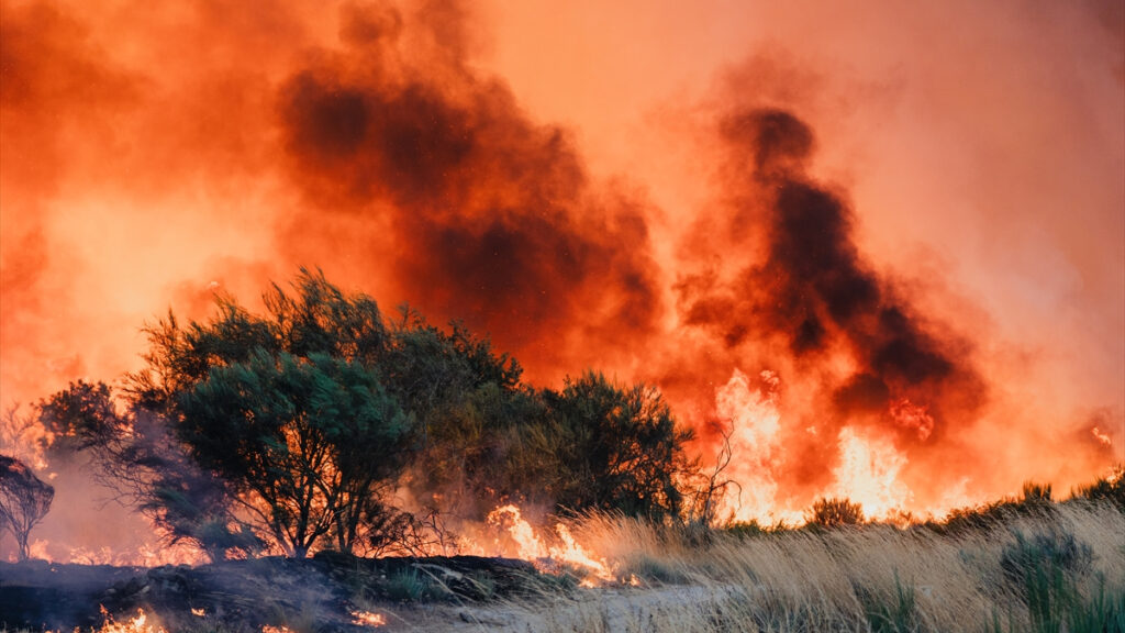 ispanyada 344 bin hektardan fazla alan yandi hJur1EKm