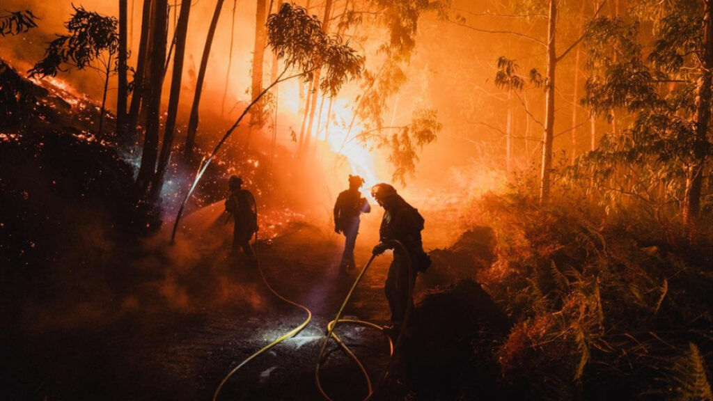 ispanyada gecen yila gore bu yil 10 kat fazla ormanlik ve kirsal alan yandi WliWGeN7