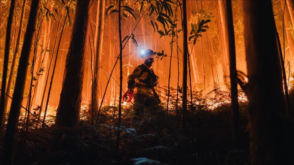 ispanyada gecen yila gore bu yil 10 kat fazla ormanlik ve kirsal alan yandi yzbB1G5P