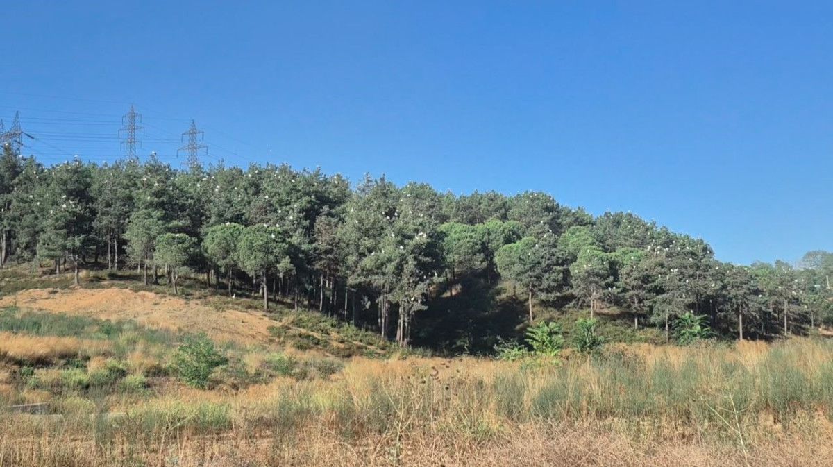 istanbul semalarinda kartpostallik goruntu leylekler gocte 1 FpSKsObQ