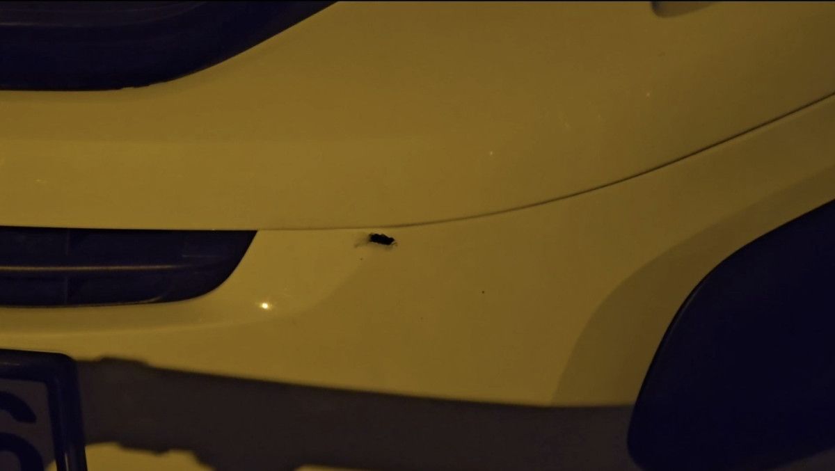 istanbulda alacak verecek kavgasinda silahlar konustu kursunlar kediye isabet etti 0 PLeraerz