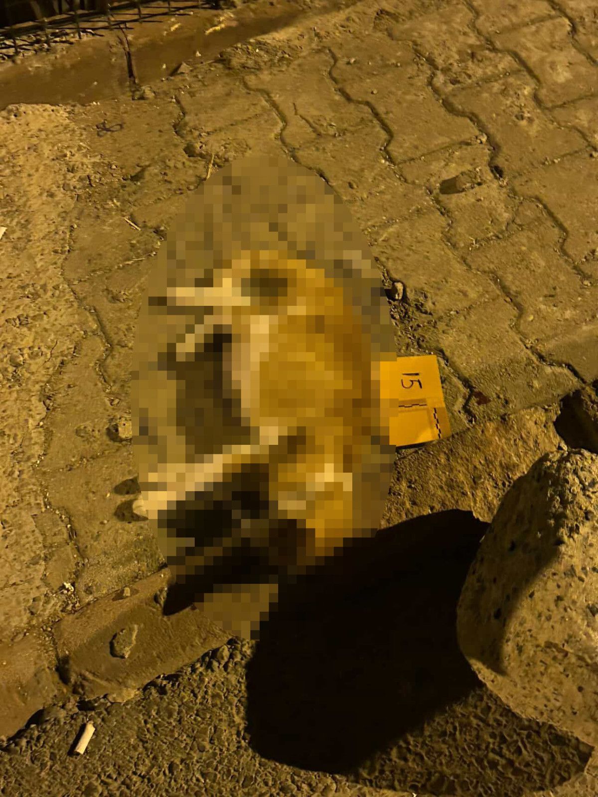 istanbulda alacak verecek kavgasinda silahlar konustu kursunlar kediye isabet etti 2 1SkNYZnZ