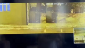 istanbulda alacak verecek kavgasinda silahlar konustu kursunlar kediye isabet etti ZVlR8YvH