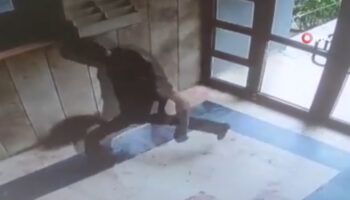 istanbulda kediye eziyet eden sahis yakalandi 4RTQiDsK