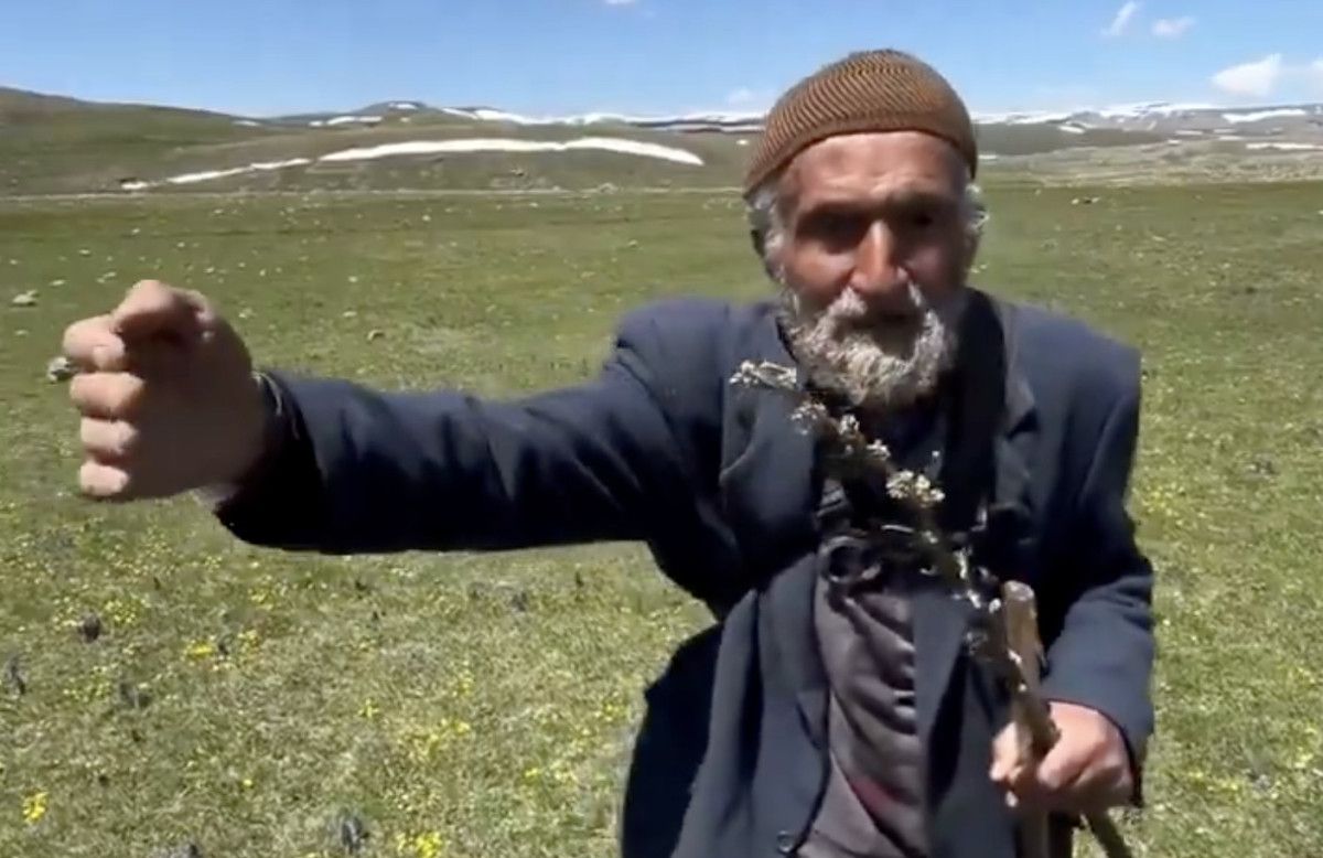 isvicreli gezgin erzurumluya adres sordu boyle gideceksin sola bukuleceksin 0 fqQkdejS