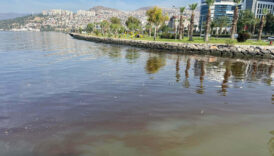 izmir korfezi yeniden kotu kokuyor nedeni siyonabakteriler Aq9Uj6zM