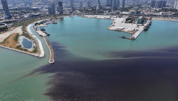 izmir korfezinde balik olumleri yeniden basladi 4l5bpecj