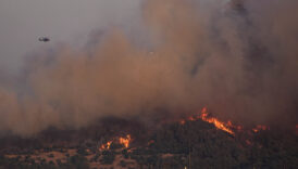 izmirde orman yangini jK4T5iFk