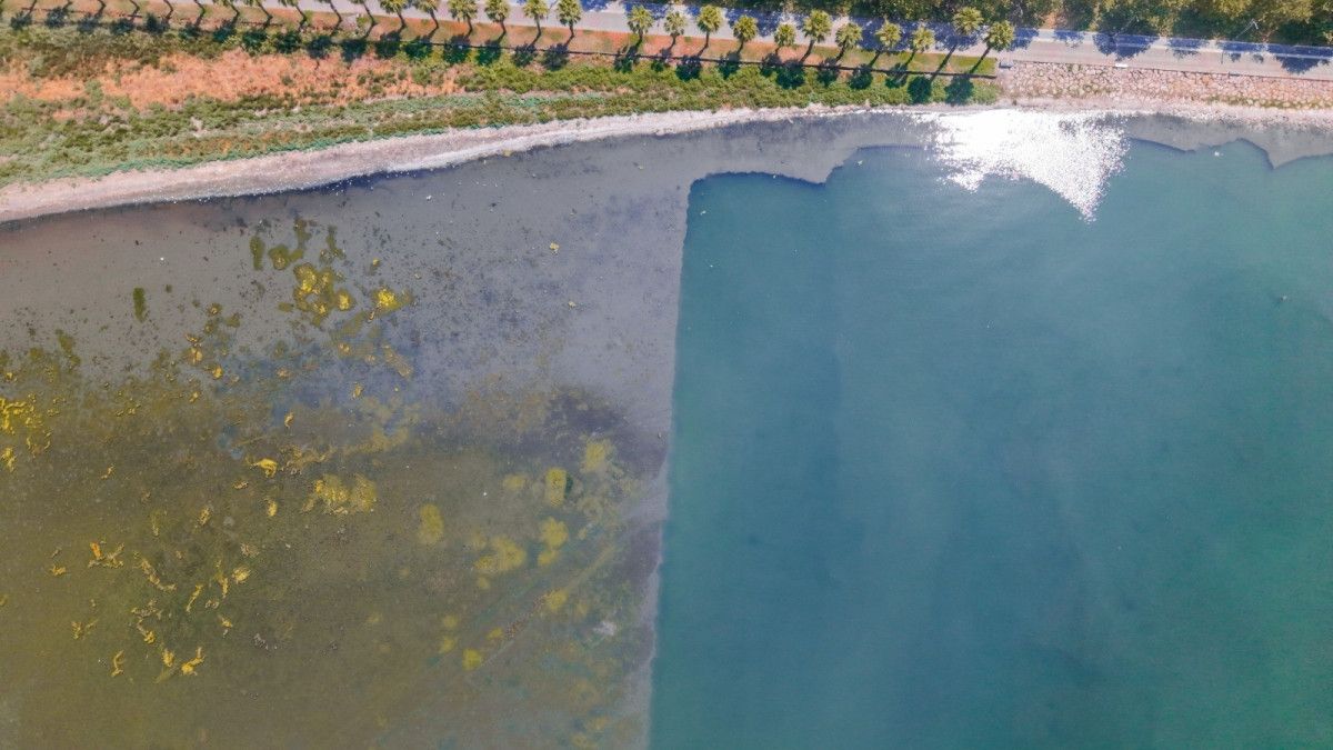 izmit korfezinde temizlik yapilan bolgelerde suyun rengi degisti 0