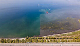 izmit korfezinde temizlik yapilan bolgelerde suyun rengi degisti dUIITk8S