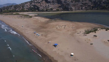 iztuzunda caretta caretta yuvalari artti 1tqMIQTv