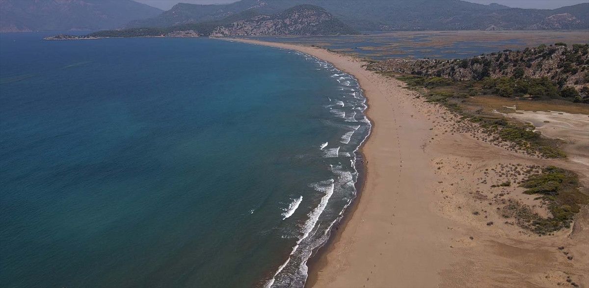 iztuzunda caretta caretta yuvalari artti 3 QGHe5vuB