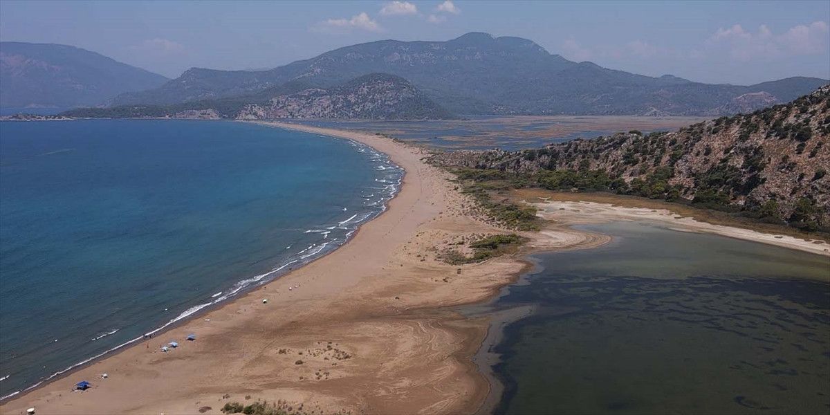 iztuzunda caretta caretta yuvalari artti 4 Wc6HeBvk