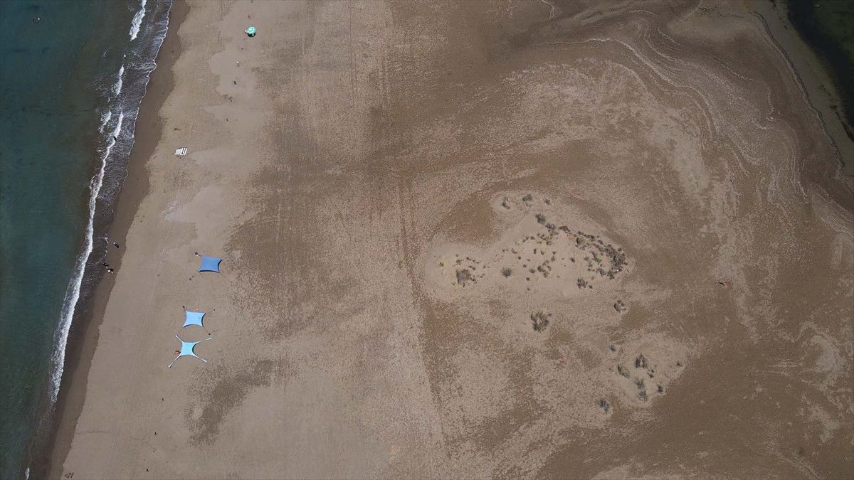 iztuzunda caretta caretta yuvalari artti 5