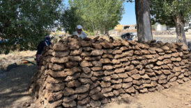 Kars köylülerinden eskimeyen gelenek: Tezek mesaisine başlandı 9 kars koylulerinden eskimeyen gelenek tezek mesaisine baslandi WfYBgSmc