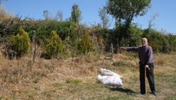 kastamonuda 32 senede binlerce agac dikti kcn2Q44p