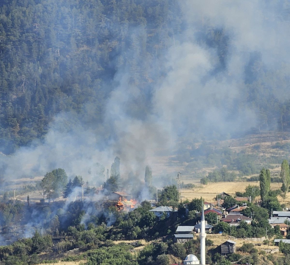 kastamonuda yangin panigi 1 B5d4GYn7