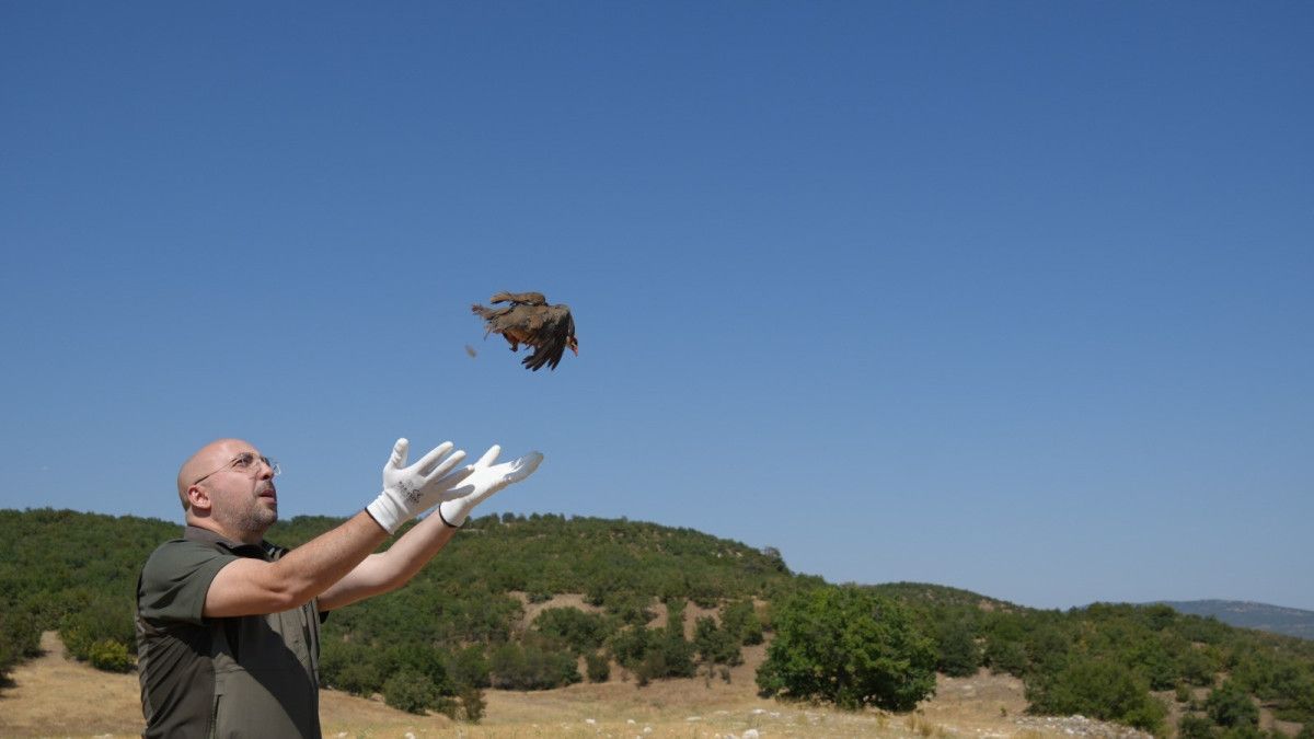 kenelere karsi mucadele suruyor 1 milyona yakin keklik dogaya salindi 1 E4MEDO5W
