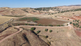 kirikkaleyi kuraklik vurdu golet tamamen kurudu 7x2HBQtH