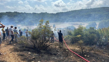 kirklarelinde cikan orman yangini sonduruldu tP653y9F