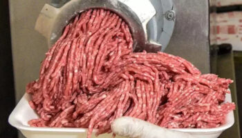 kiyma gibi gorunuyor WPVff9ra