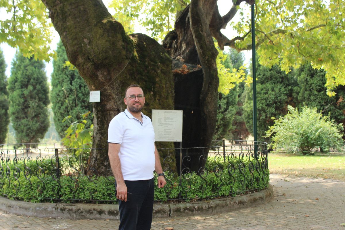 kocaelide 930 yillik cinar asirlara meydan okuyor 2 EnK94UlX