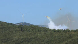 kocaelide orman yangini kontrol altina alindi Yaj18AjB