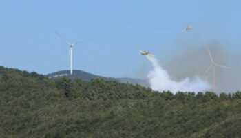 kocaelide orman yangini kontrol altina alindi Yaj18AjB