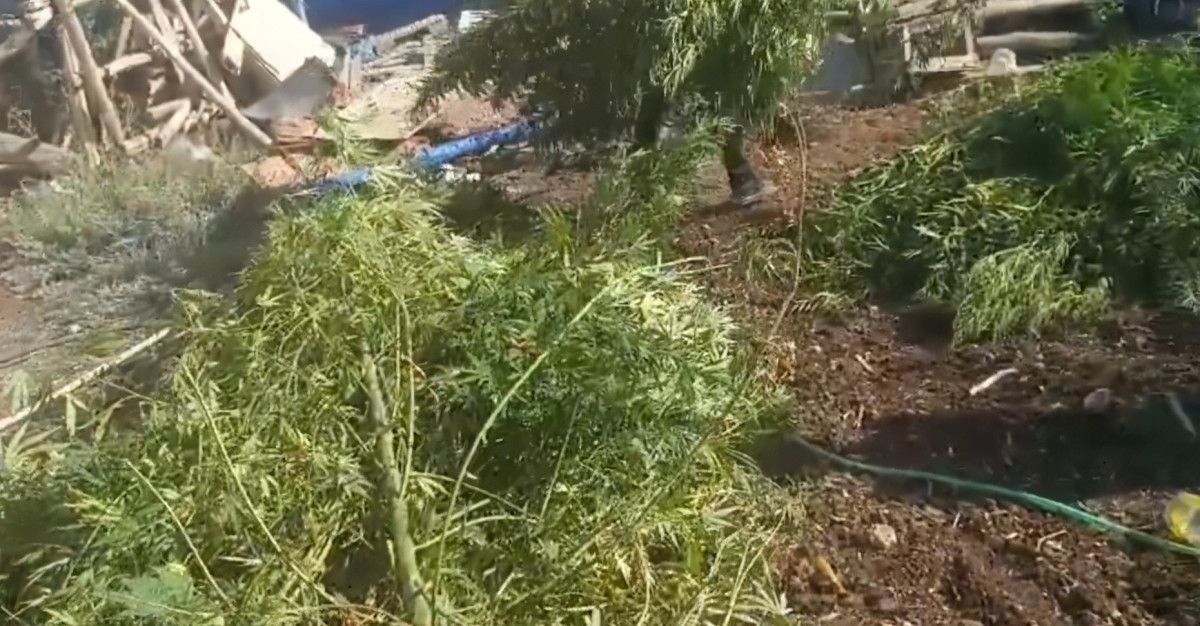 konyada uyusturucu operasyonu 4 supheli yakalandi 3