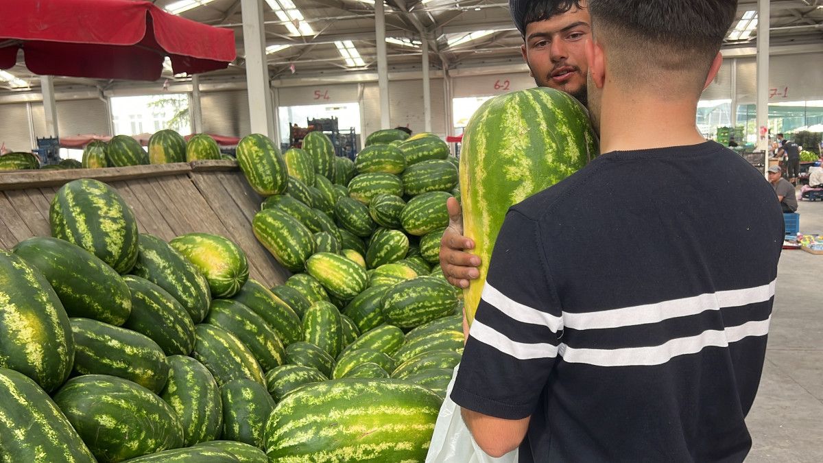 konyada yapay zeka ile karpuz secimi 1 ZHpuXpaq