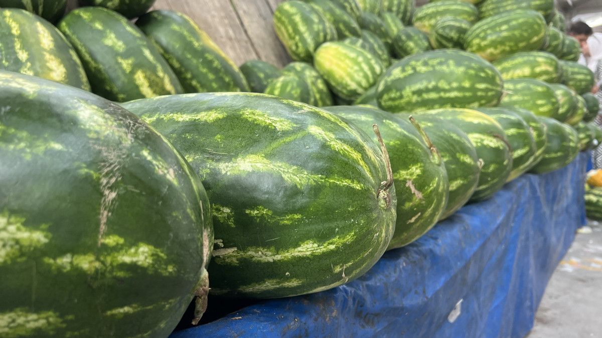 konyada yapay zeka ile karpuz secimi 4 PT8zB52A