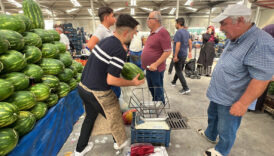 konyada yapay zeka ile karpuz secimi OlDXii1F