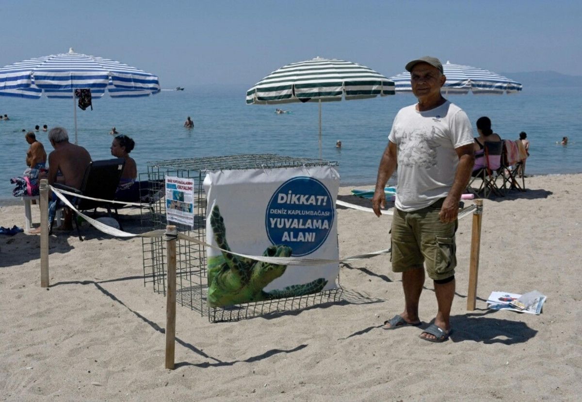 kusadasinda yilin ilk caretta caretta yavrulari surpriz yuvadan cikti 0 RCANQKBi