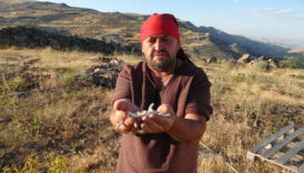 malatyada kendiliginden yetisiyor 10 bin tlye satiliyor wRtnIJAy