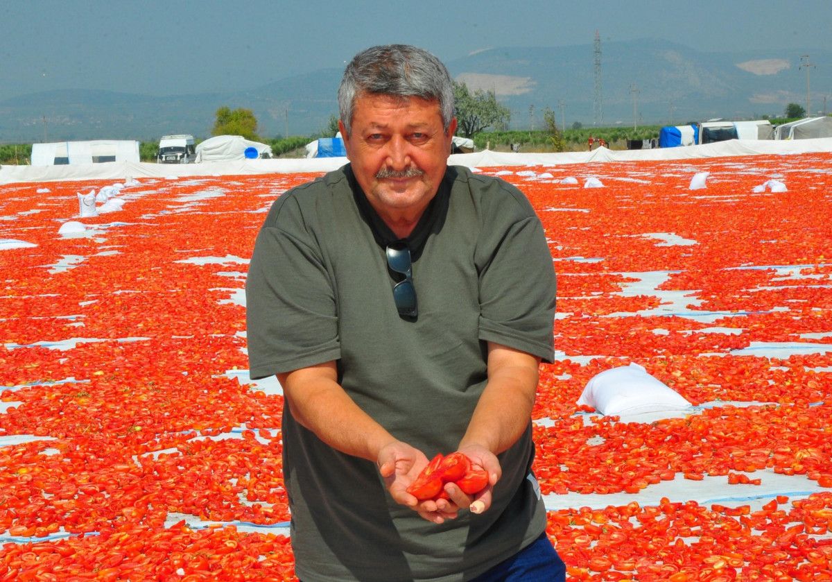 manisada kurutulan domatesler avrupa ulkelerine ihrac ediliyor 0