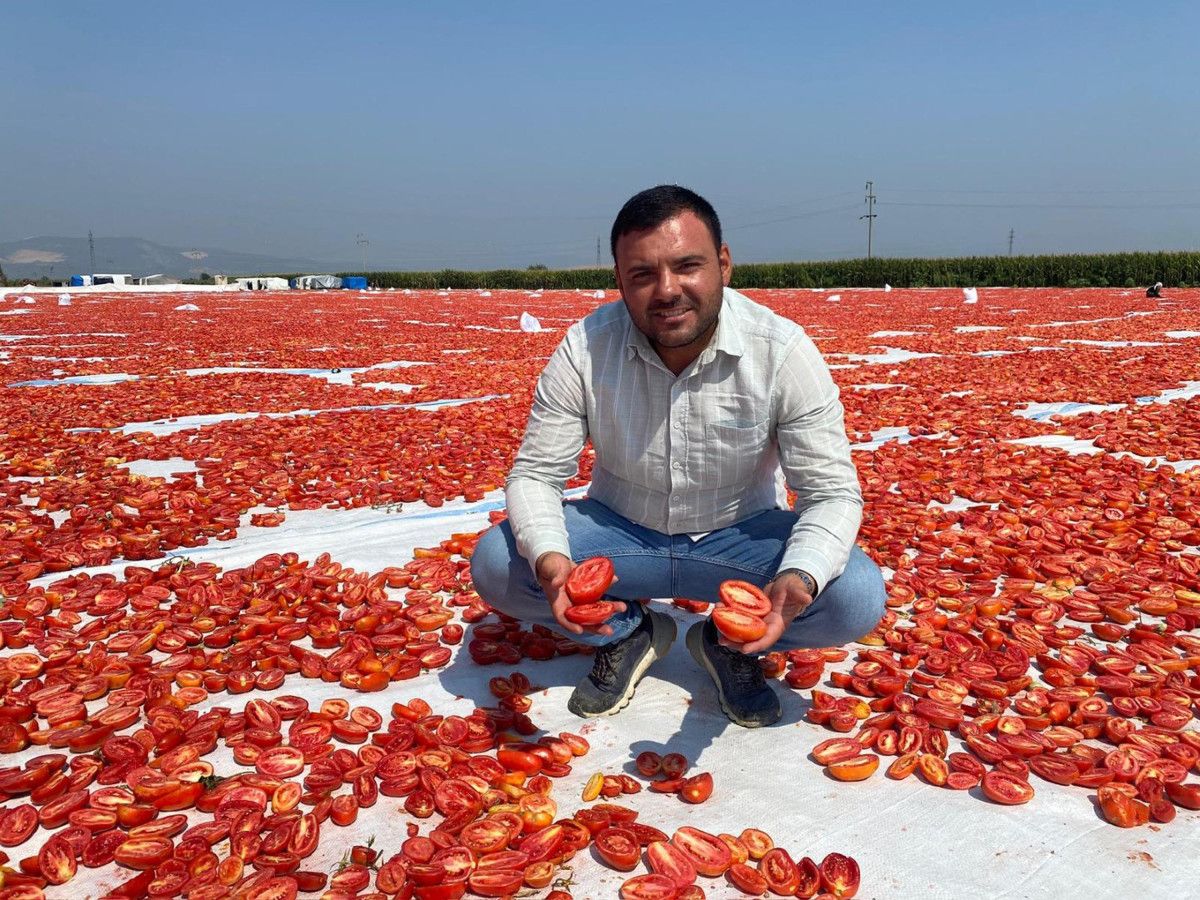 manisada kurutulan domatesler avrupa ulkelerine ihrac ediliyor 4 p9Q8t3Xn