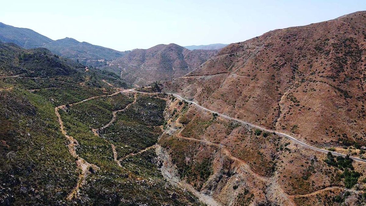 marmaristeki yanginlar sonrasi doga yeniden can buluyor 1 Czi9We6I