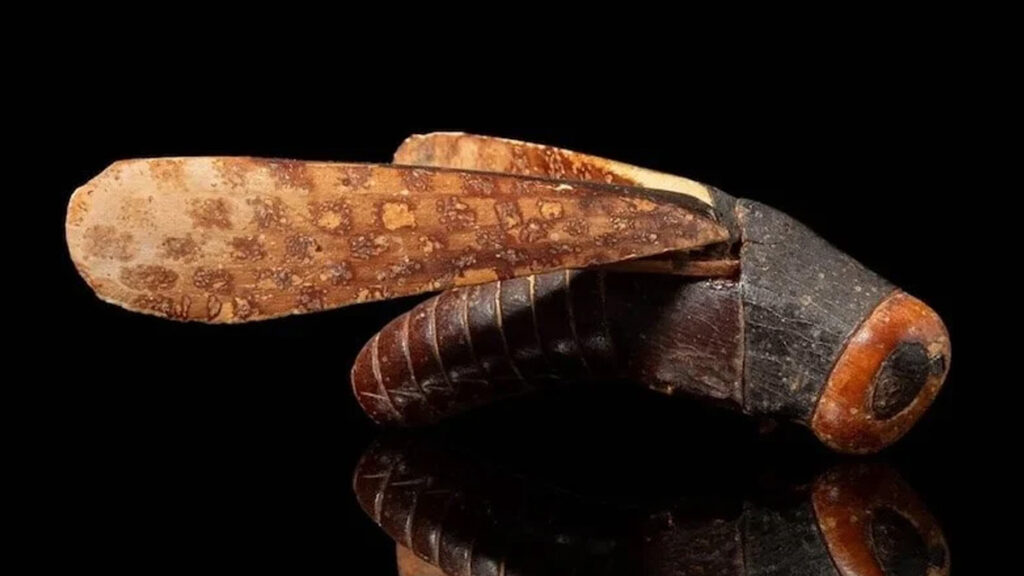 mezarda bulunmustu dunyanin en degerli cekirgesi 450 bin dolara satildi BGveuuNv