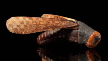 mezarda bulunmustu dunyanin en degerli cekirgesi 450 bin dolara satildi BGveuuNv